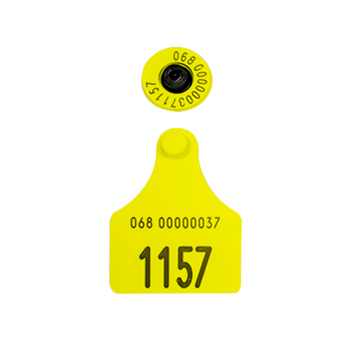 007711